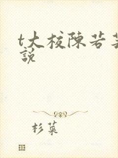 t大校陈若芸小说