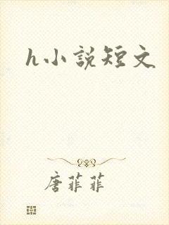 h小说短文