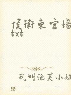 侯卫东官场笔记txt