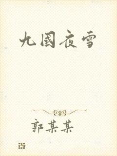 九国夜雪封面