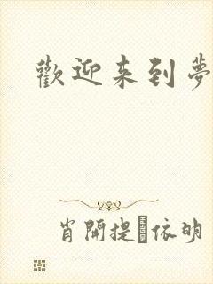 欢迎来到梦乐园封面