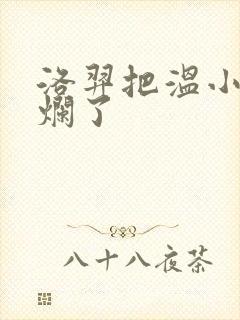 洛羿把温小辉做烂了