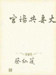 官场共妻大交换封面