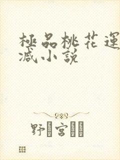 极品桃花运未删减小说封面