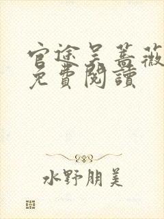 官途吴蔷薇全文免费阅读