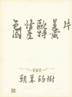 色情欧美片午夜国产特黄