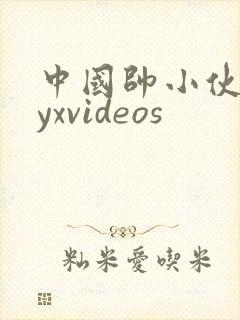 中国帅小伙gayxvideos