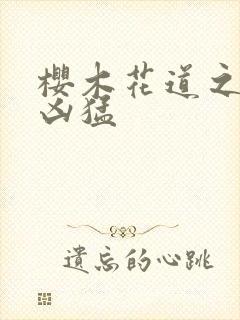 樱木花道之重生凶猛封面