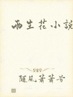 两生花小说封面