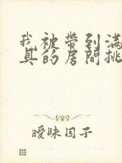 我被带到满是玩具的房间挑调作文