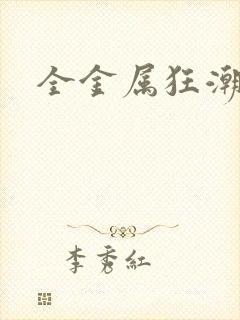 全金属狂潮小说封面