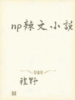 np辣文小说
