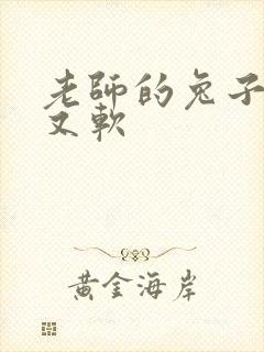 老师的兔子又大又软封面