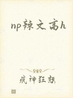 np辣文高h封面