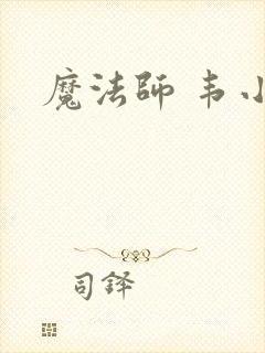 魔法师 韦小宝