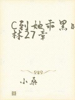 C到她乖黑暗森林27章封面