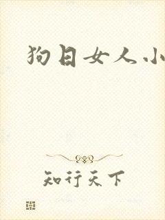 狗日女人小说