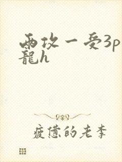 两攻一受3p双龙h