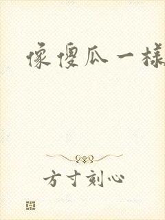 像傻瓜一样去爱封面