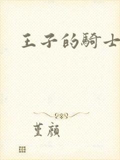 王子的骑士小说