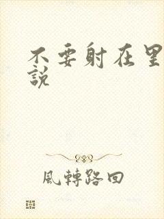 不要射在里面小说