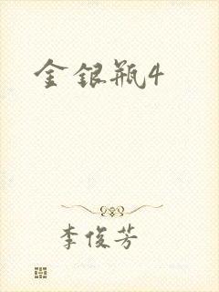 金银瓶4封面