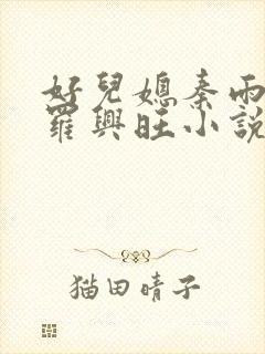 好儿媳秦雨罗明罗兴旺小说