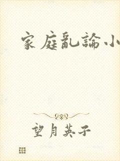 家庭乱论小说