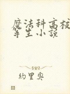 魔法科高校的劣等生小说