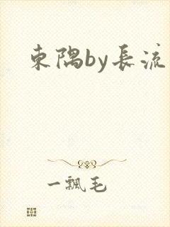 东隅by长流流封面