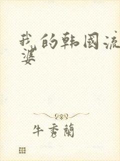 我的韩国流氓老婆