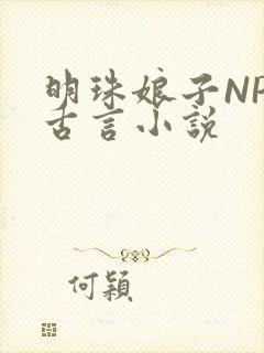 明珠娘子NPC古言小说