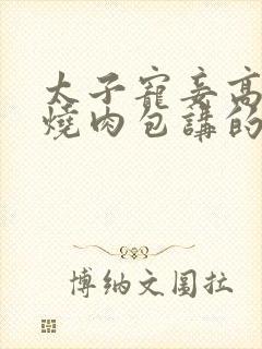 太子宠妾高肉红烧肉包讲的什么