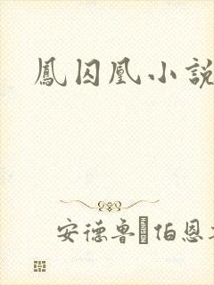 凤囚凰小说
