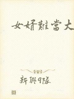 女婿难当大结局