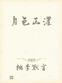 月色正浓封面