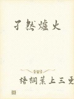 孑然炉火封面