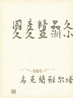 国产精品久久久久久亚洲小说