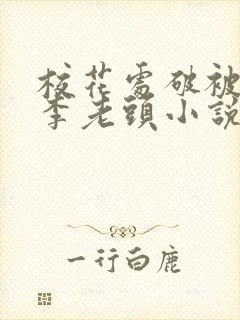 校花处破被灌满李老头小说封面