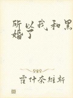 所以我和黑粉结婚了