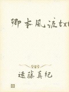 卿本风流txt封面