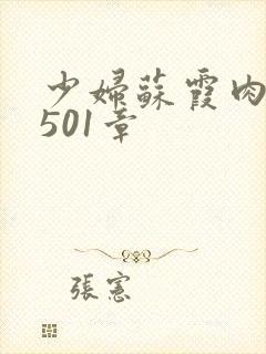 少妇苏霞肉欲第501章