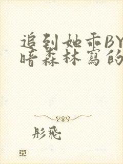 追到她乖BY黑暗森林写的小说