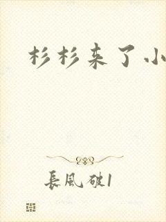 杉杉来了小说封面