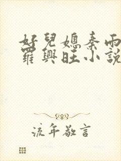 好儿媳秦雨罗明罗兴旺小说