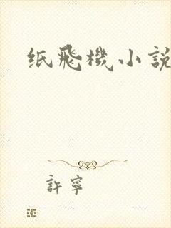 纸飞机小说
