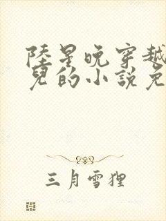 陆星晚穿越成婴儿的小说免费阅读全文封面