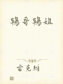 鸨哥鸨姐封面