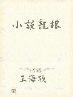 小说龙根