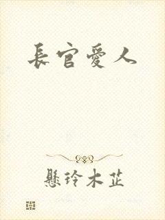 长官爱人封面